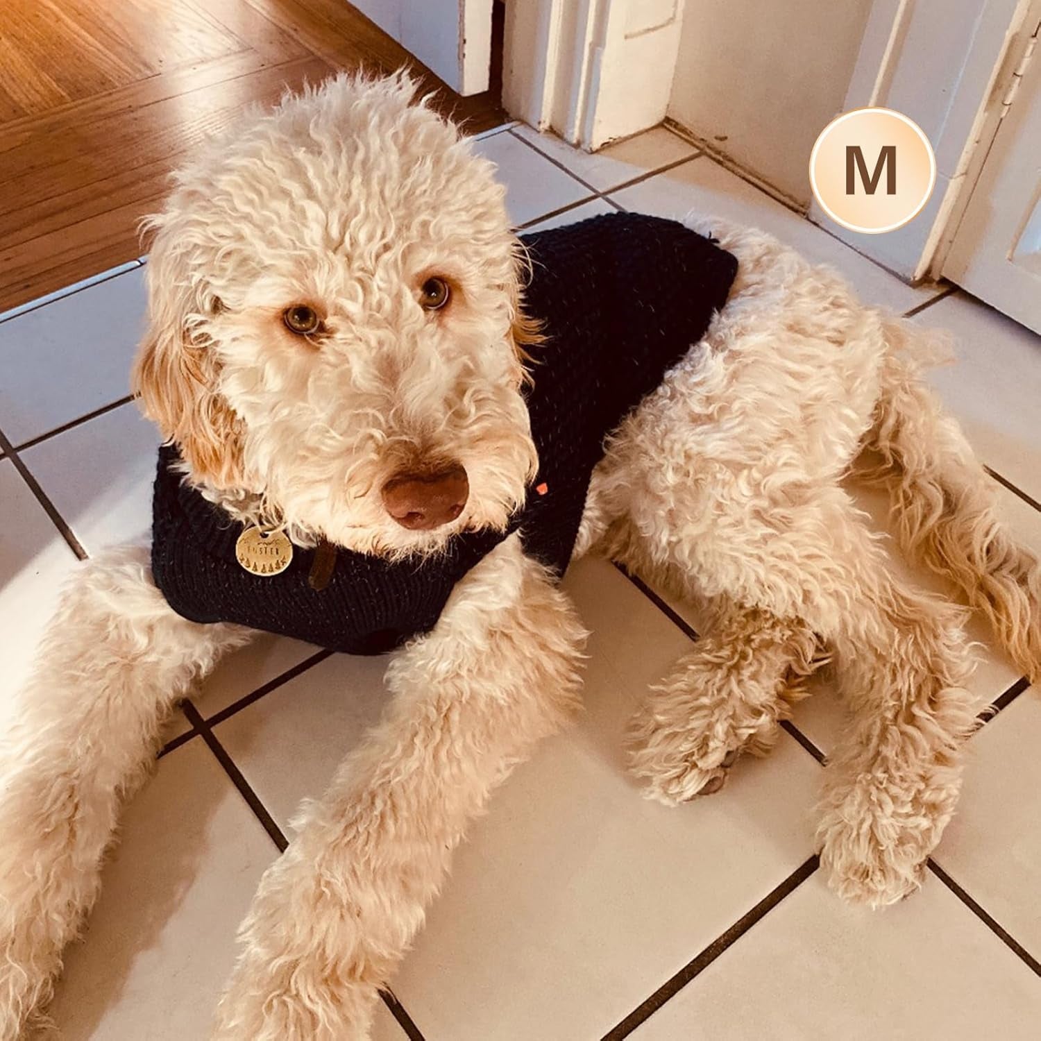 Dog Sweater with Leash Hole Warm Pullover with Reflective Yarn for Small and Medium Dogs Male Soft Knit Pullover Boy Dog Coats Cozy Lightweight Thick Sweater,Navy Blue,Medium